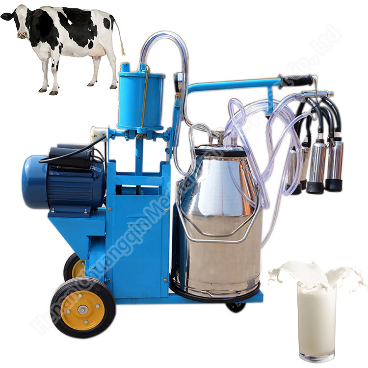 2 cows fresh milk vending human cow milking machine