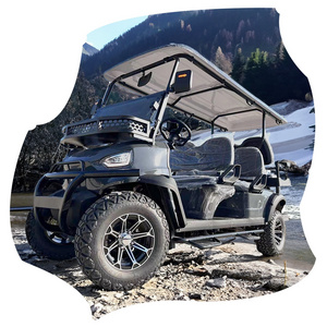 6 Seater Four Wheel Reasonable Prices 48V Electric Golf Cart Black Color with Back Seat