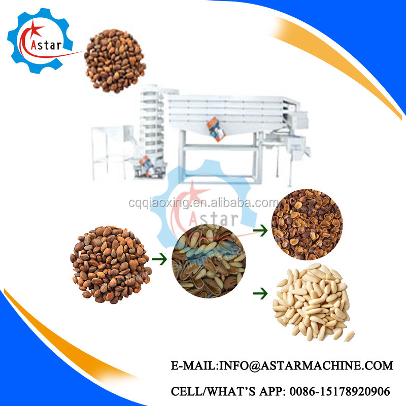 Ce approve pecan shelling equipment machinery