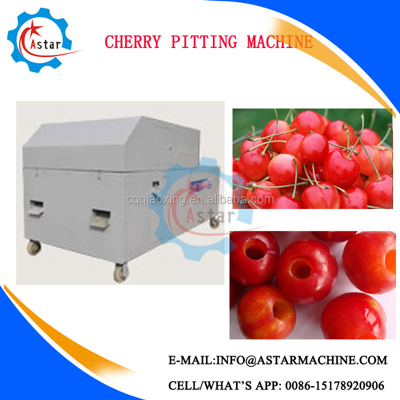 Factory price tamarind seed removal machine