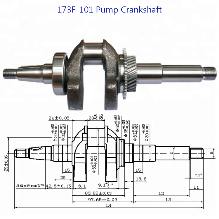 Straight Key Crankshaft 19mm Dia for 173F(FA) L70 6HP 4 Stroke Air Cooled Diesel Engine for Boat/Water Pump