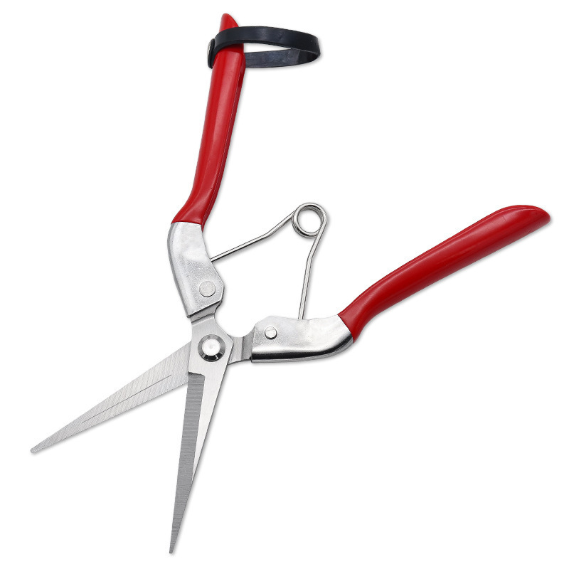 High Quality Garden Cutting Tools Handheld Small Shear Pruner Scissors Pruning Shears