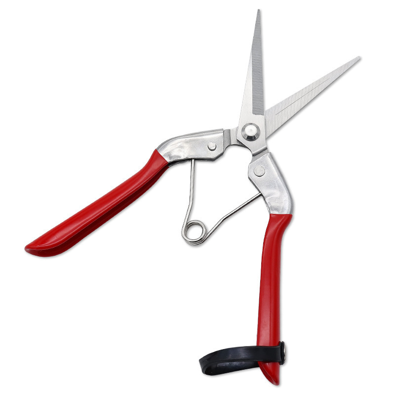 High Quality Garden Cutting Tools Handheld Small Shear Pruner Scissors Pruning Shears