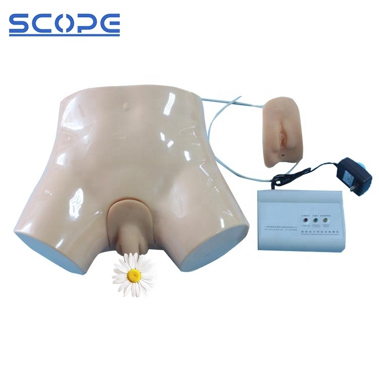 Medical Training Manikin SC-H1D Adults Simulation Electronic Urethral Catheterization and Enema Models