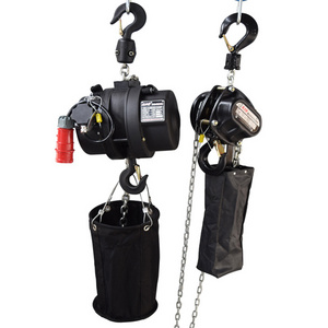 2 Ton Electric Stage Hoist for Truss Light 1 Ton Chain Provided 20 Motorcycle Engine Hoist Winch 500kg Diesel Engine Engine Host