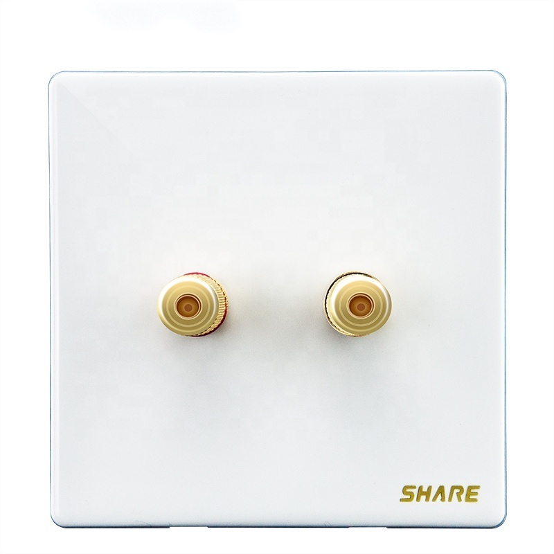 China SHARE White Panel High Quality Factory Wholesale Crtelectrical safely  Electrical Sound Wall Socket For Home 9.5mm