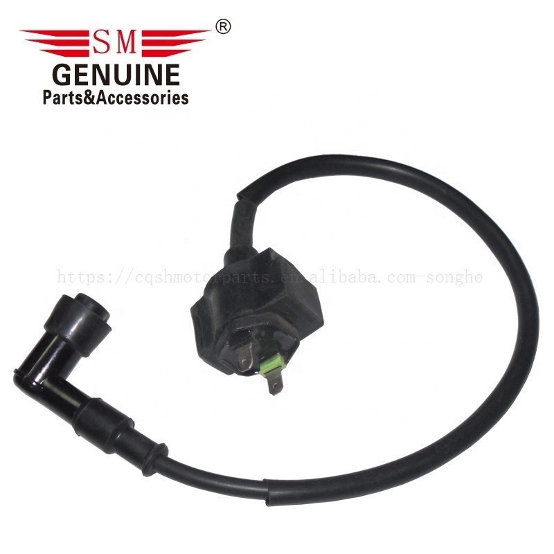 Motorcycle ignition coil high pressure coil for lifan  LF250 CBT125 motorcycle parts and accessories AK150TT AKT150 AKT125TT AKT