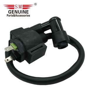 Motorcycle ignition coil high pressure coil for lifan  LF250 CBT125 motorcycle parts and accessories AK150TT AKT150 AKT125TT AKT