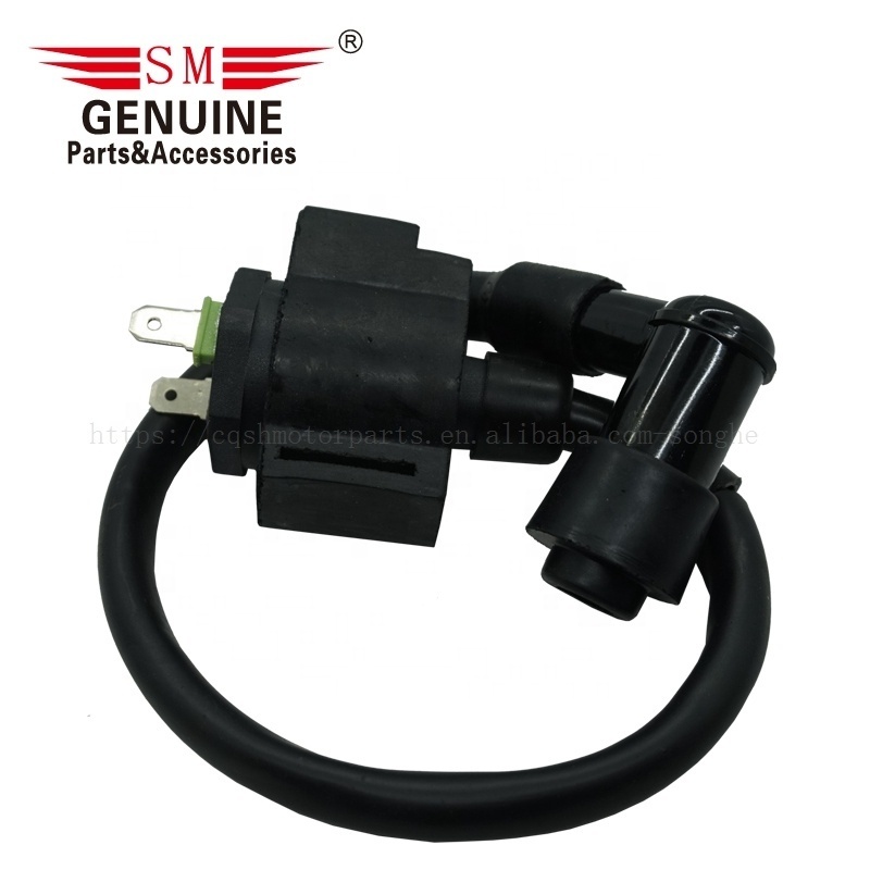 Motorcycle ignition coil high pressure coil for lifan  LF250 CBT125 motorcycle parts and accessories AK150TT AKT150 AKT125TT AKT