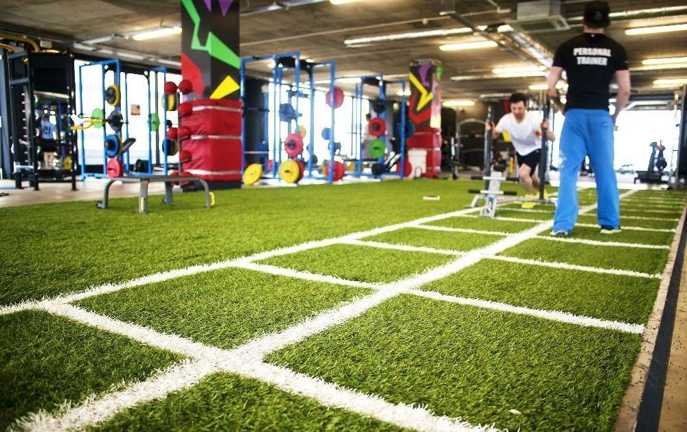 Non toxic customized artificial grass supply for gym