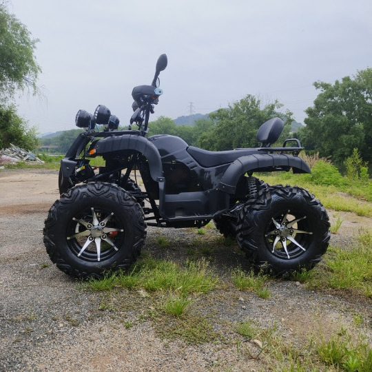 Factory direct sales 5000W electric 4WD ATV farmer bike go-kart motocross Beach Buggy All Terrain Off-Road Motorcycle