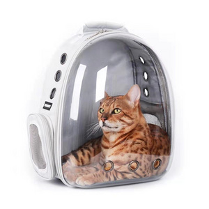 New Fashion Ventilate Bubble Premium Space Capsule pet cages carriers houses cats For Puppy Dog Cat