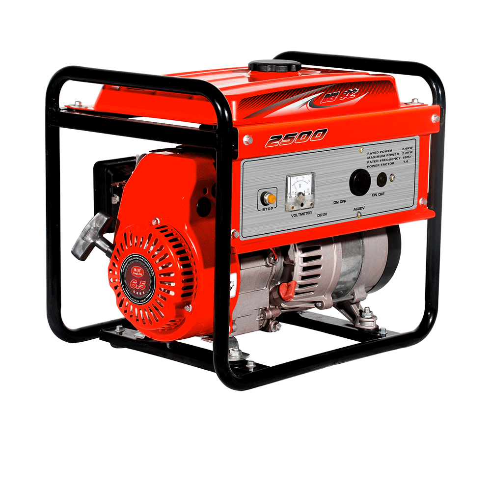 Chinese Supplier 1KW Air Cooled with Free Energy Generator India Price