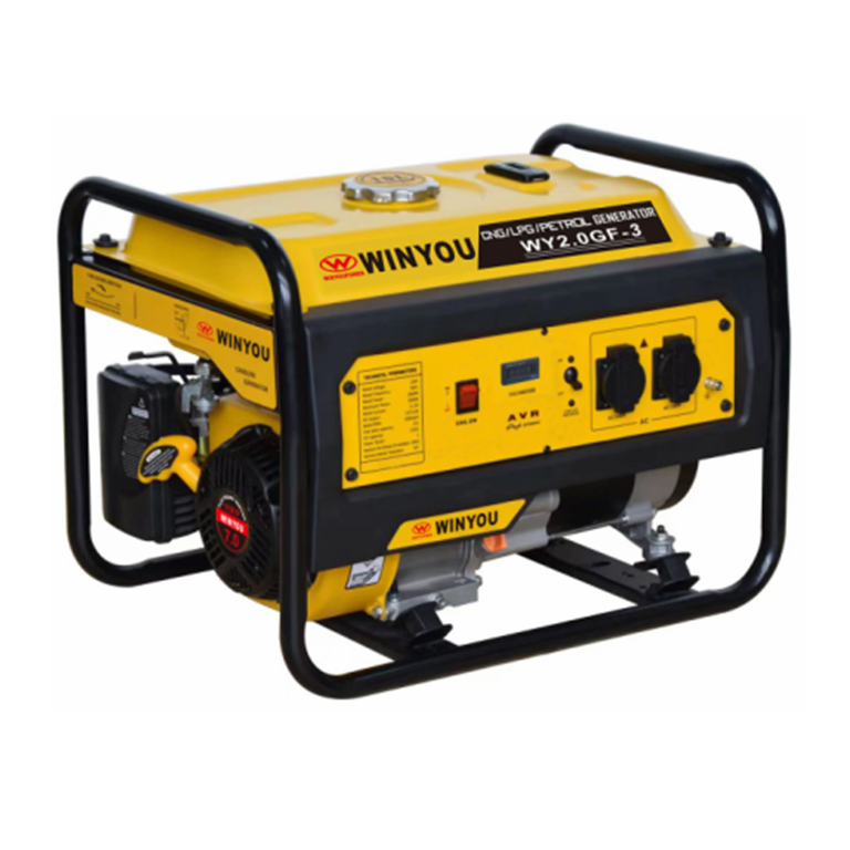 1.8kw-2.8kw  4 Stroke Dual Triple Fuel Portable Generator Gasoline Powered manual Start  220v gasoline generators