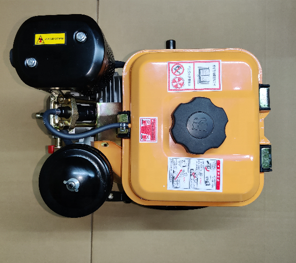 WSE168F 3HP 196CC 4 Stroke Small Air Cool Diesel Engine Used For Pump GoKart Generator Tiller Pressure Washer Wood Chopper Etc.