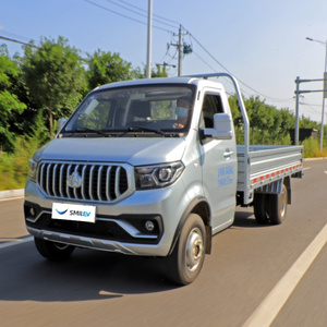 2024 SHENQI T30 1.6L 3.3m Standard Type Transportation Vehicles Changan Mini Truck Chinese Import Cars