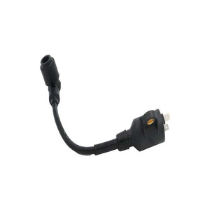 YP, Yuxin Boat Motor 2.5F-01.03.01.00 Ignition Coil Asy for hidea Outboard 3.5HP T3.5 3.5 outboard engines 2 stroke