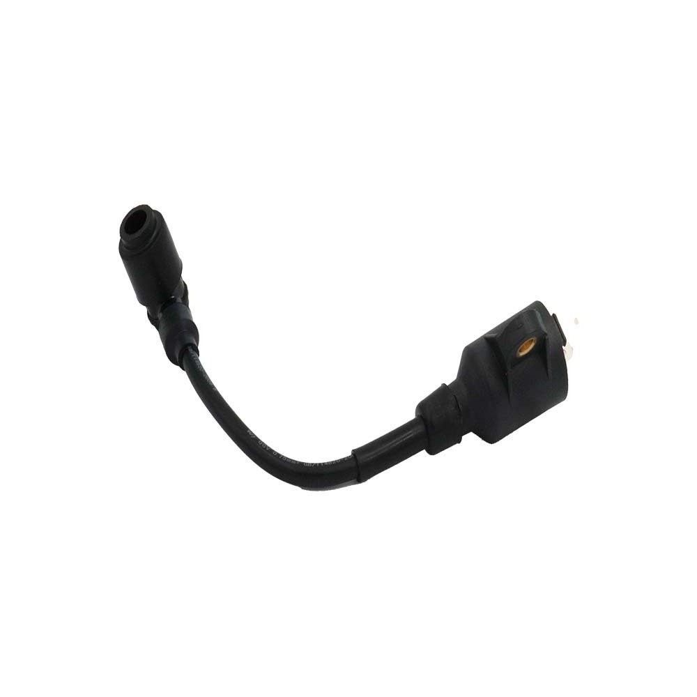 YP, Yuxin Boat Motor 2.5F-01.03.01.00 Ignition Coil Asy for hidea Outboard 3.5HP T3.5 3.5 outboard engines 2 stroke