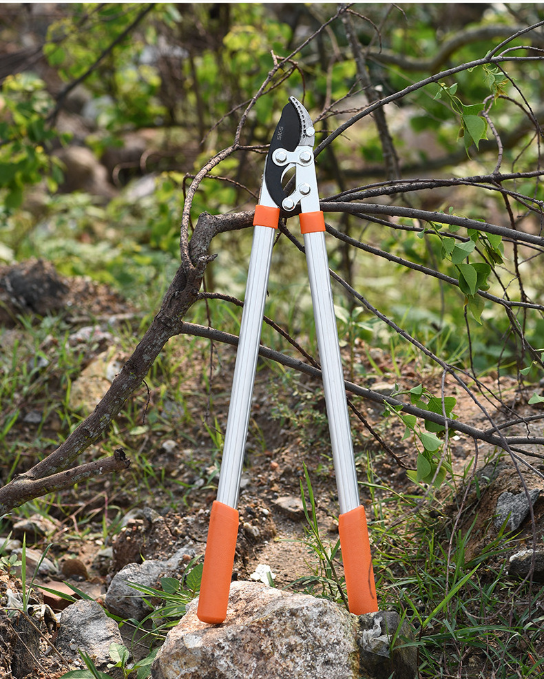 Tree Branch Garden Long Handled Hedge Ratchet Bypass Pruner Pruning Shear Lopper