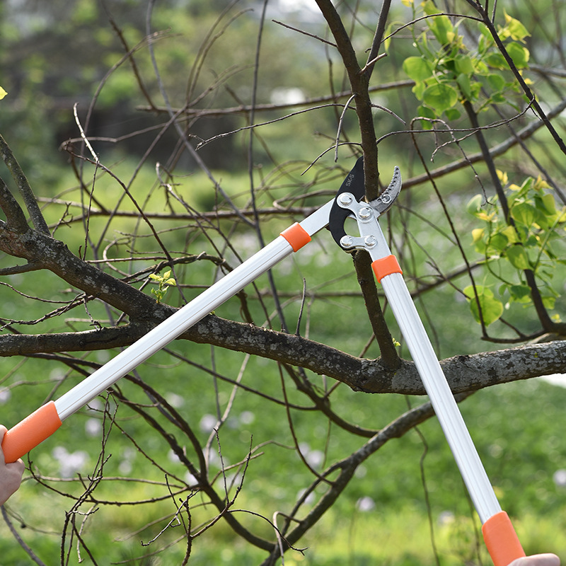 Tree Branch Garden Long Handled Hedge Ratchet Bypass Pruner Pruning Shear Lopper