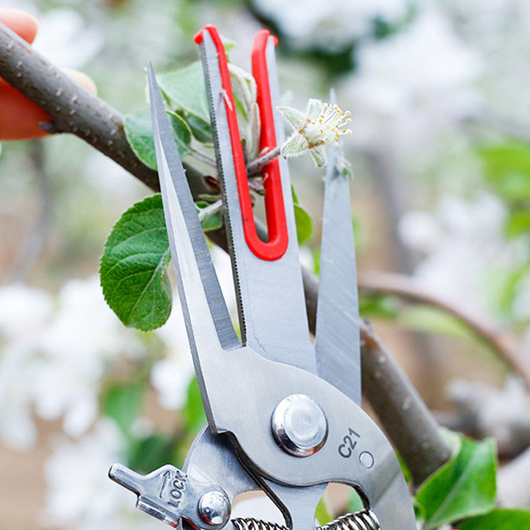 Double Blade mouth Apple Kiwi Fruit Pear Fruit Tree Cut Picking Flower Scissors