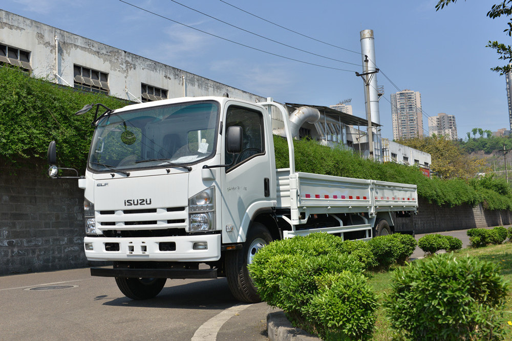 Hoe sale Isuzu elf 16ft dropside cargo truck in philippines manual transmission LHD van trucks for sale inital payment