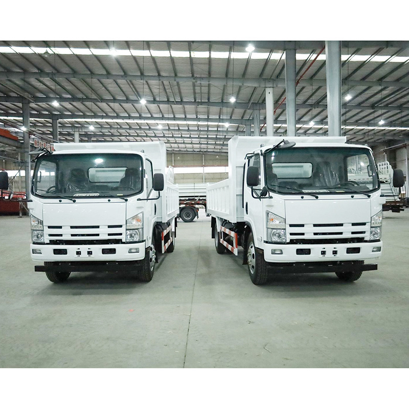 700P NPR Euro 5 Brand New Isuzu Sand 5 Ton Dump Truck