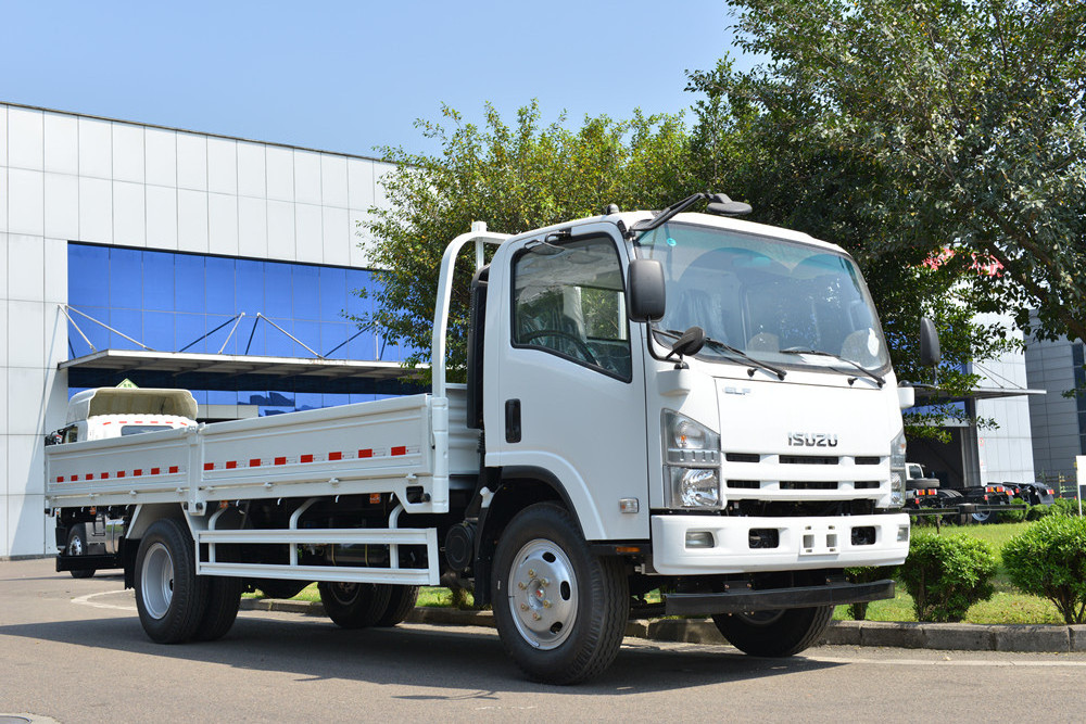 Hoe sale Isuzu elf 16ft dropside cargo truck in philippines manual transmission LHD van trucks for sale inital payment