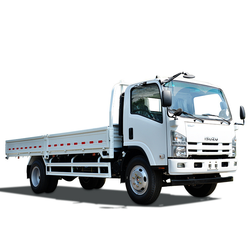 Hoe sale Isuzu elf 16ft dropside cargo truck in philippines manual transmission LHD van trucks for sale inital payment