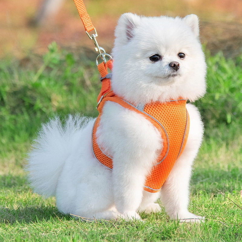 Pet Supplies Vest Style Pet Leash Cat and Dog Chest Strap Breathable Reflective Anti Escape Dog Walking Chain