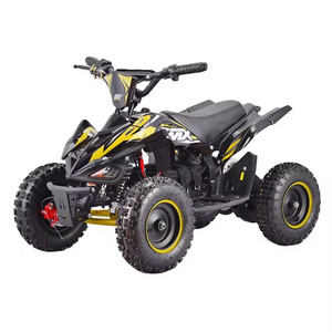 2024 New Popular Cheap Chinese  Mini Kids Electric Atvs Electric Quad For Sale