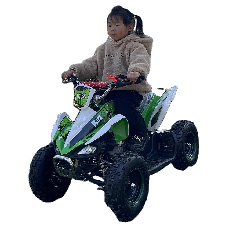 Atv Quad 49cc Quad Bike New Design Roda Mini Quad Popular Cheap Chinese 50CC 48V Automatic Terra Adventure 125cc Accessories 2WD