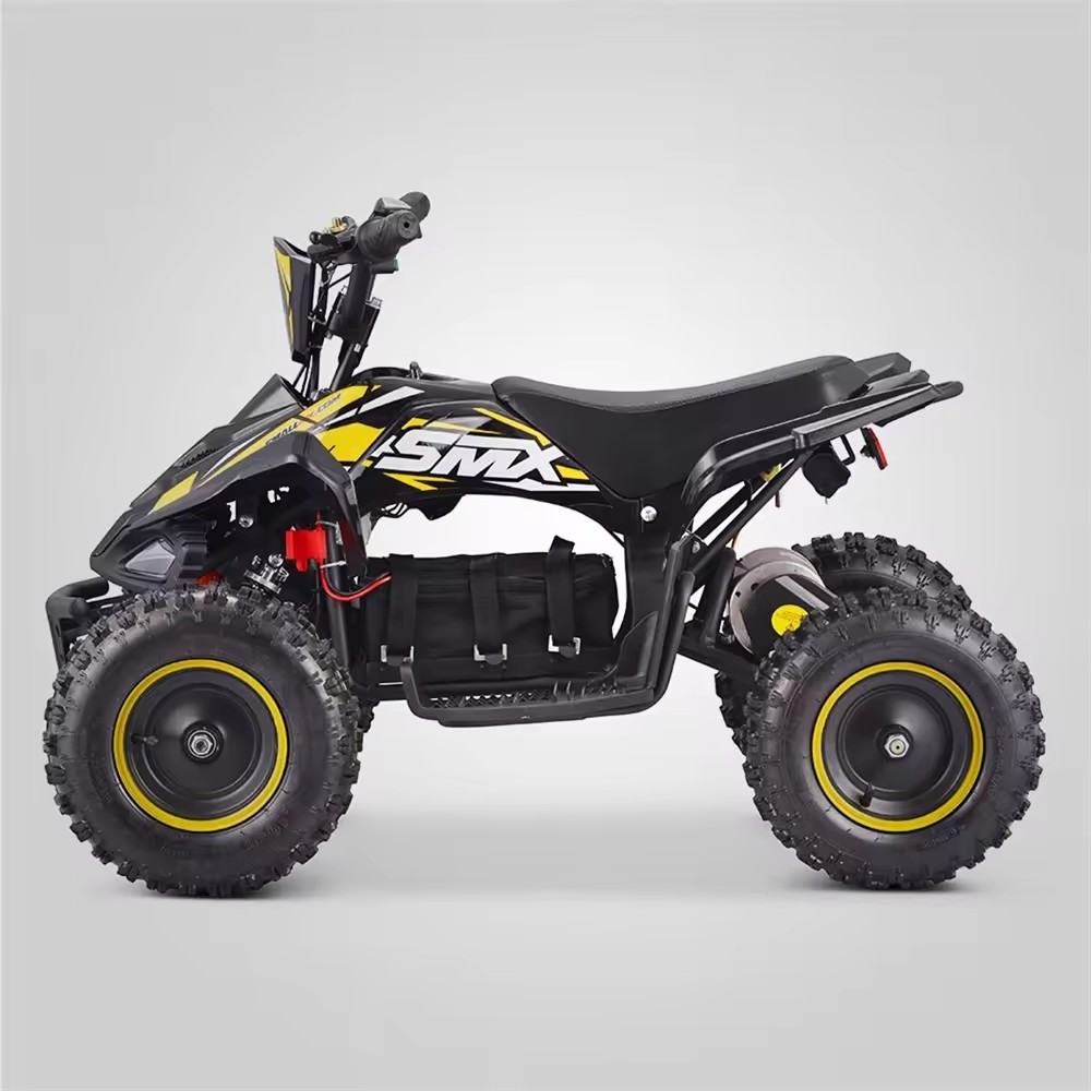 2024 New Popular Cheap Chinese  Mini Kids Electric Atvs Electric Quad For Sale