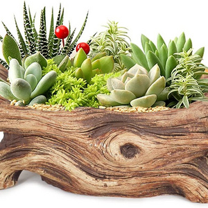 Stump Succulent Pot with Holes, Succulent Cactus Artificial Driftwood Concrete Planter Home Office Decorative Planter Pot