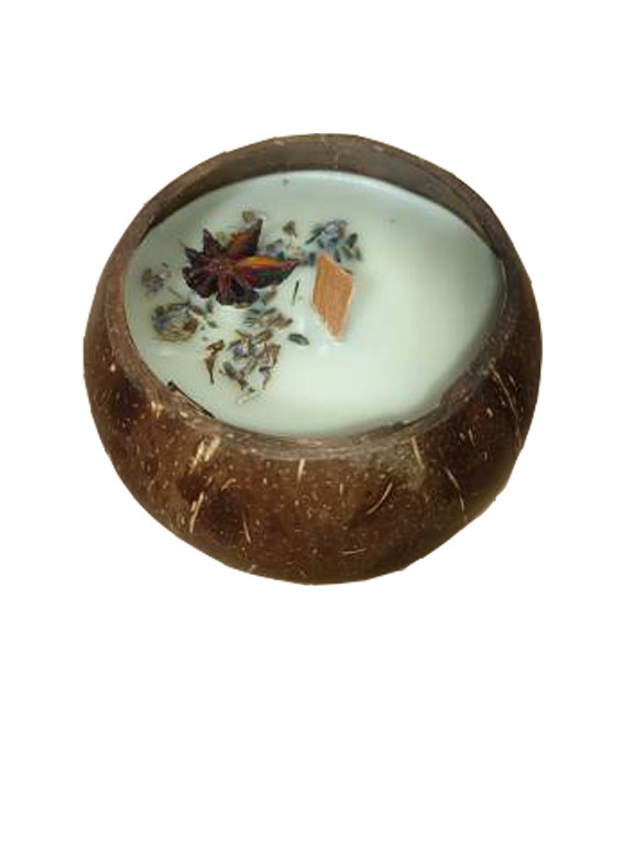 High Quality Natural Coconut Shell Candle With Palm Wax And Soya Wax Cheap Price From Vietnam Coconut Bowl Candles With Scents