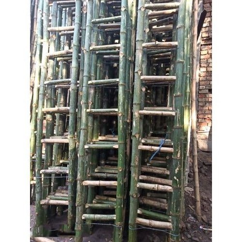 Natural Bamboo Ladders Brown Insulation Ladders Electrician Ladder For Construction With Custom Size High Quality From India