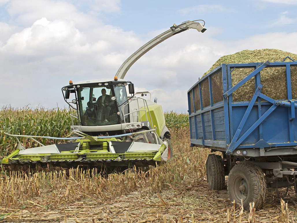 Agricultural Machinery Corn Rice Harvester 140hp 4YZ-3C1 Combine Harvester for Sale