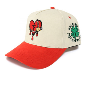 Custom design branded caps factory directly oem cap two tone color cotton fabric 3d embroidery snapback hat