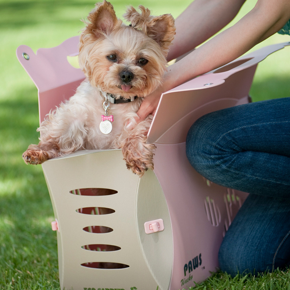 Good Quality Easy To Clean Pet Carrier Breathable And Windproof For Cat And Dog Outdoor Use