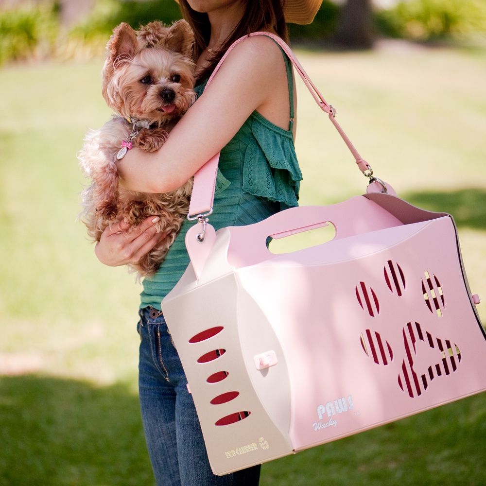 Pet travel 100% recyclable PP plastic light and firm pet cages, carriers portable dog carrier