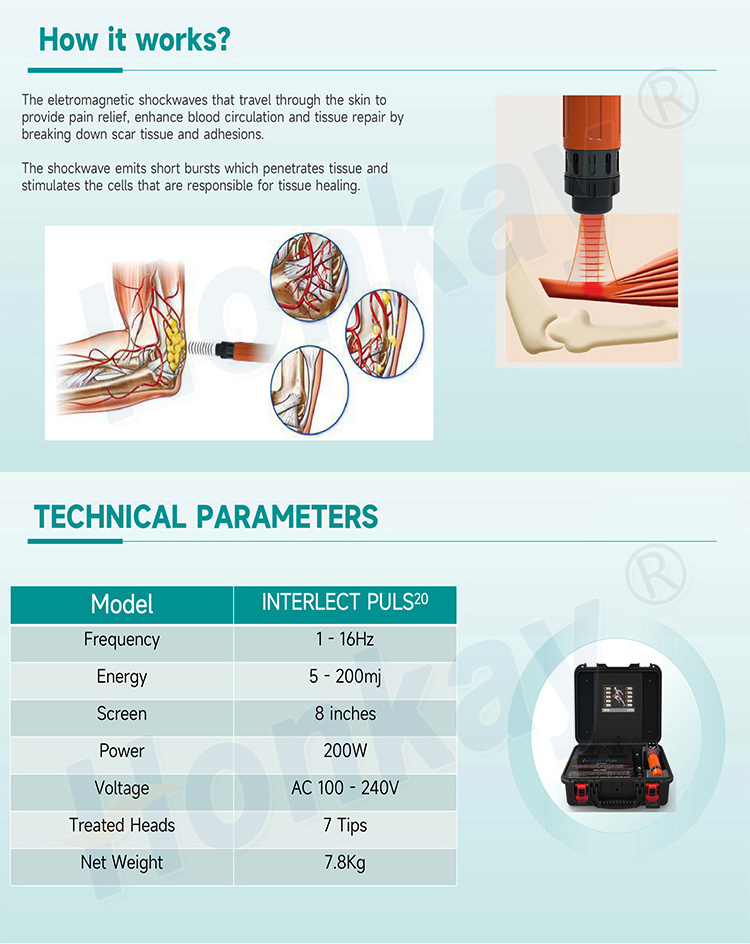 Customized Logo Shockwave Therapy Ed Treatment 7 Tips Working Heads Handpiece Display Screen Focus Shock Wave Therapy Machine