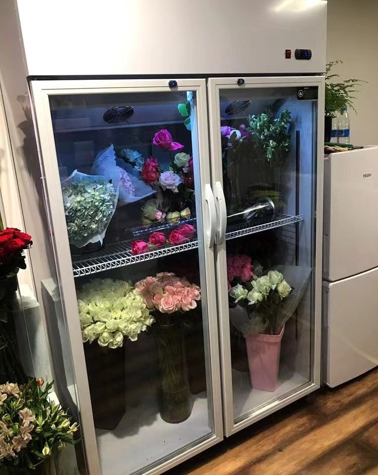 Fresh keeping showcase freezer Commercial Fridge Display Cooling Flower Chiller Fresh Flower-refrigerator Floral cooler