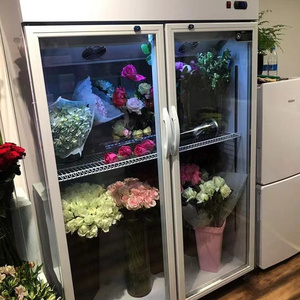 Fresh keeping showcase freezer Commercial Fridge Display Cooling Flower Chiller Fresh Flower-refrigerator Floral cooler