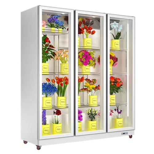 Fresh keeping showcase freezer Commercial Fridge Display Cooling Flower Chiller Fresh Flower-refrigerator Floral cooler