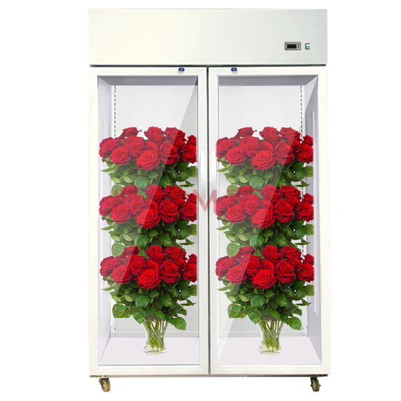 Fresh keeping showcase freezer Commercial Fridge Display Cooling Flower Chiller Fresh Flower-refrigerator Floral cooler