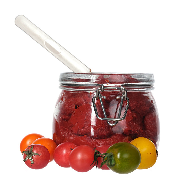 Free Samples Multi Sizes Round and Square Swing Top Food Preserving Glass Jars with Hinged and Clip Lids