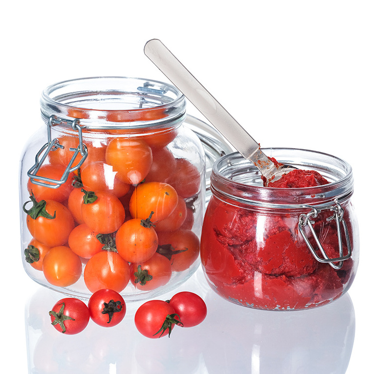 Free Samples Multi Sizes Round and Square Swing Top Food Preserving Glass Jars with Hinged and Clip Lids