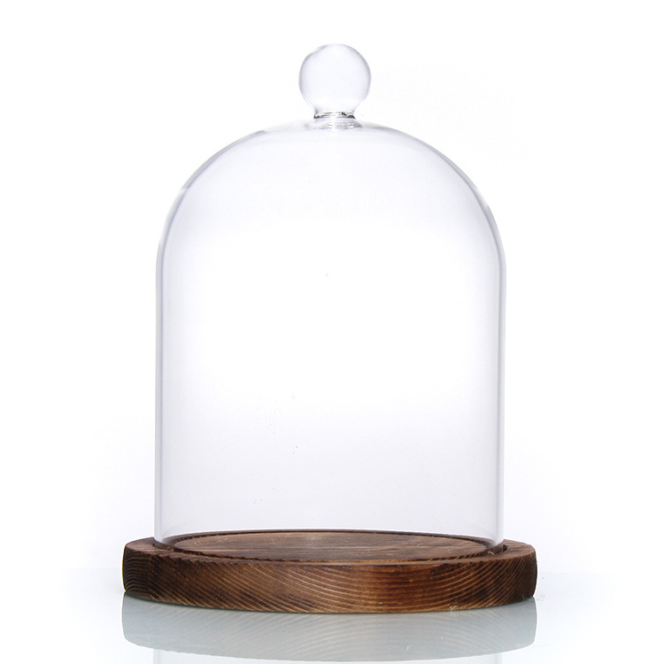 Wholesale Glass Bell Cloche Jars High Borosilicate 20zo 30oz Glass Dome with Plastic Base