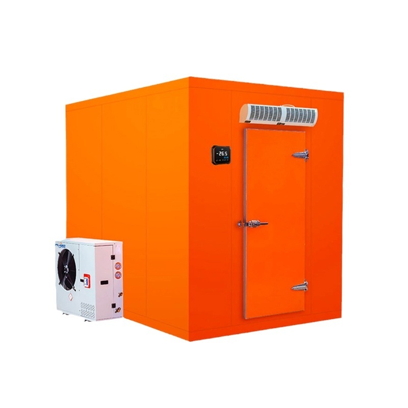 Industrial Cold Storage Frozen Meat Chiller Room Blast Freezer Cold Room	with Compressor