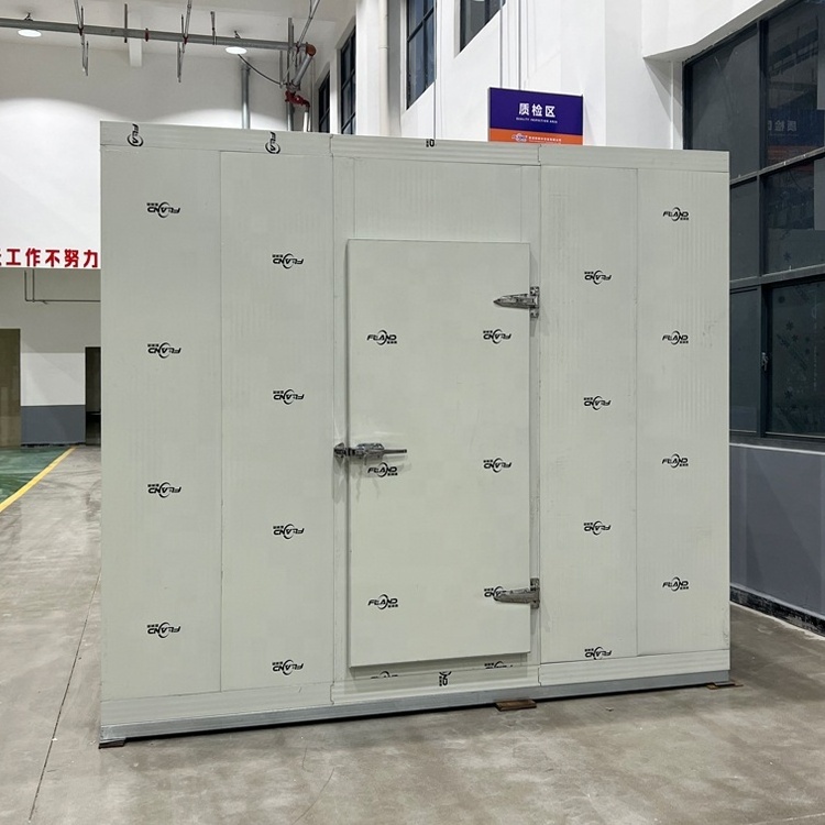 Chiller freezer machine storage room for fish chicken beef